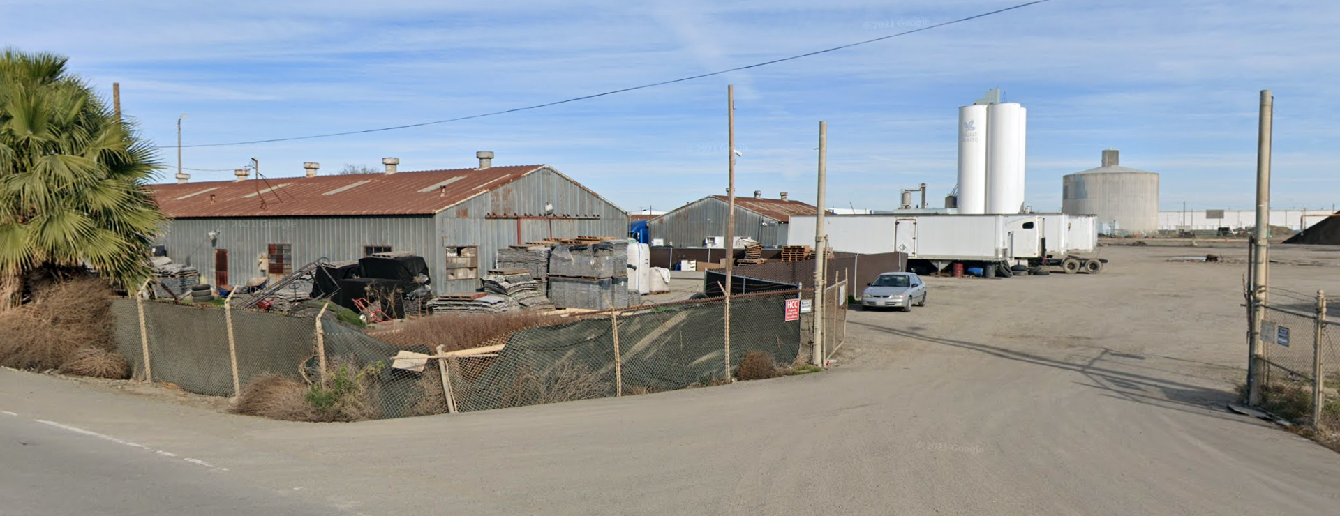 Holly Sugar (2021 Photo)