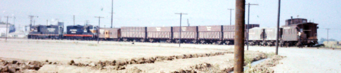 SP Sugar Beet Train, Tracy CA 1960 (Photo)